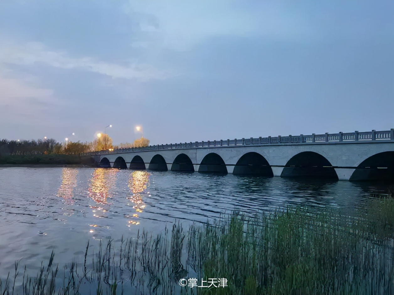 天津最好的私人公园,天津小众拍照圣地
