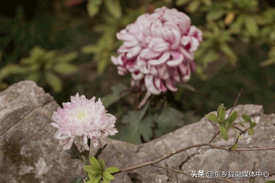 秋天丰收的雅称大全,秋天的雅称有哪几种