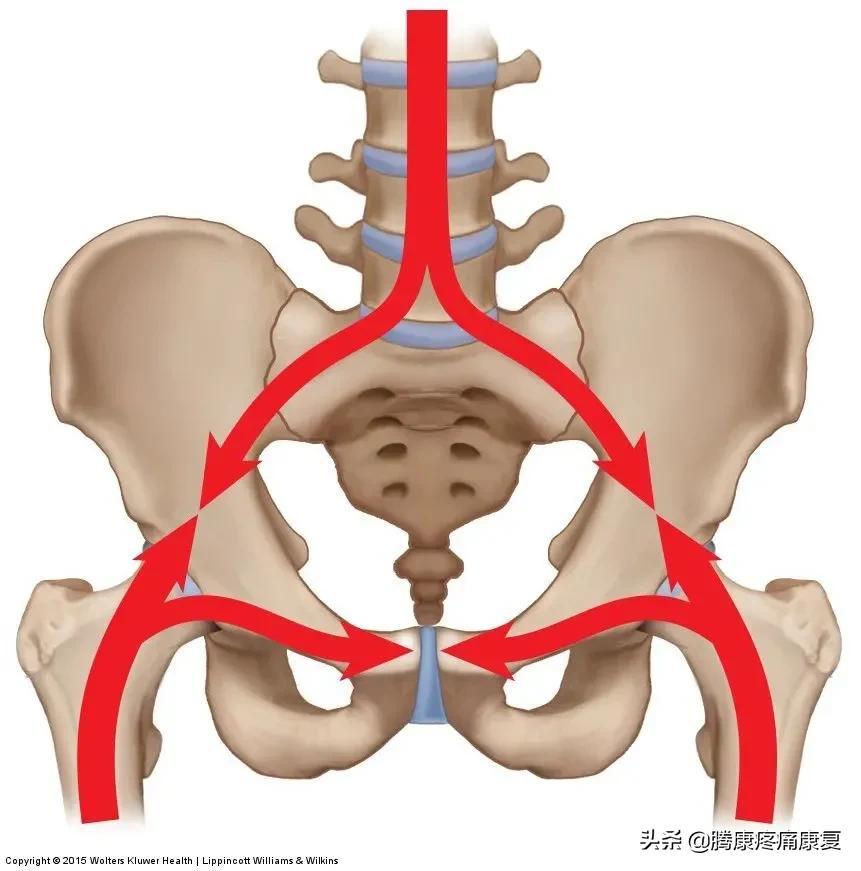 骶髂关节疼痛站着的锻炼方法,骶髂关节常见疼痛分析与运动康复