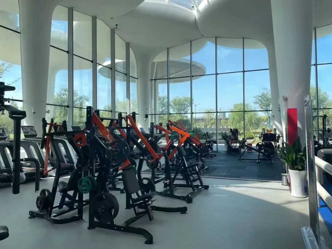 杭州临平粉黛乱子草花海地址,杭州临平30余亩粉黛花海梦幻上线