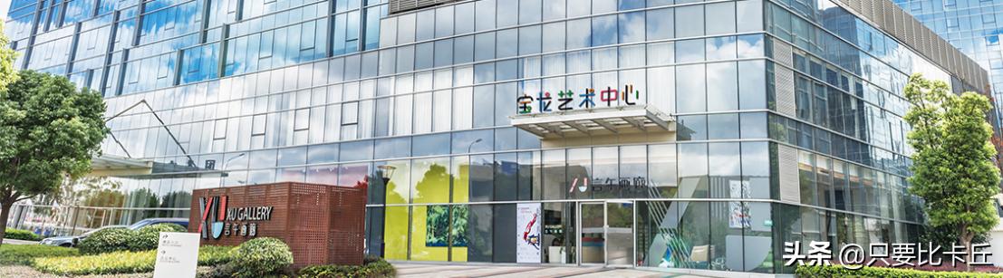 宝龙地产许健康,宝龙房地产老总许健康