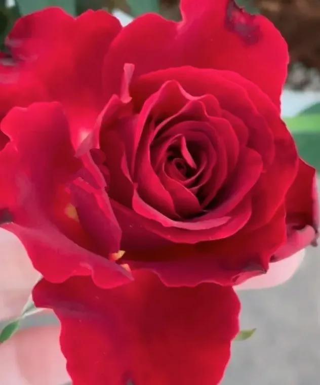 头条新手创作注意事项,头条创作注意哪些事项