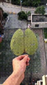 神回复最恶搞的话,被人骂不知羞耻的神回复