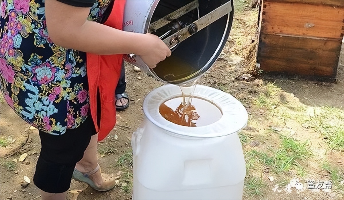 吃什么样的蜂蜜才是好的,带你了解不一样的蜂蜜