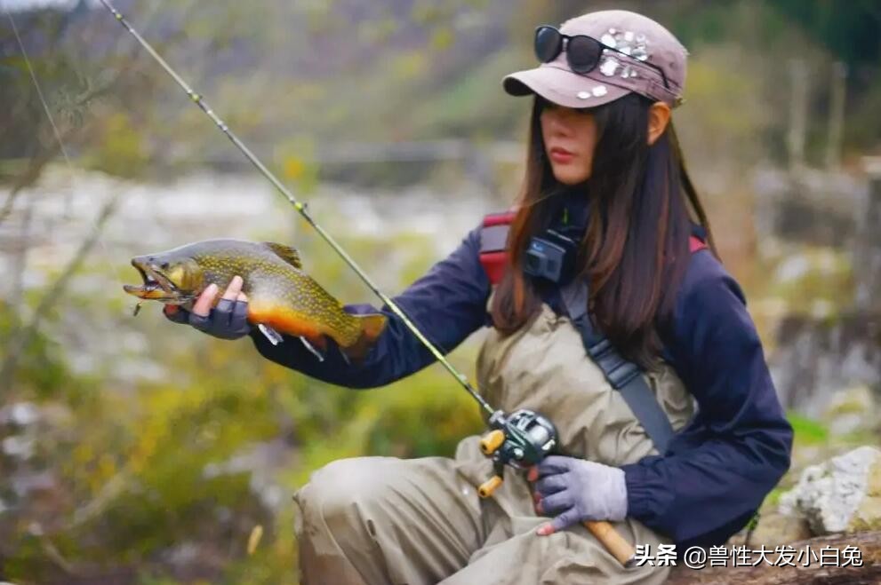 路亚鱼饵的介绍,路亚饵的全方面介绍