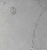 品质重点管控操作指导书 (品质质量管控经验总结)