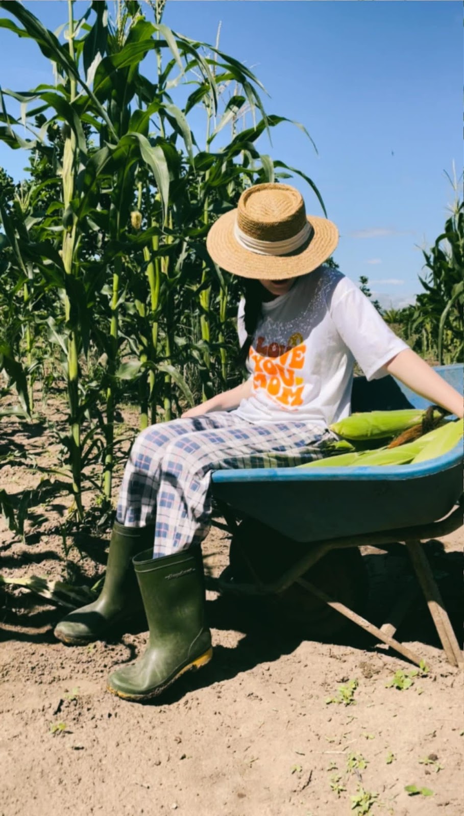 越南农村姑娘骗婚,27岁越南女子假扮富婆