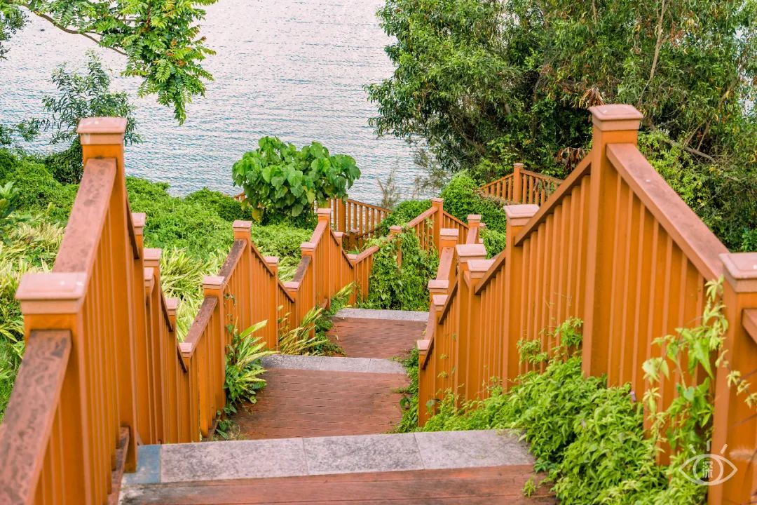 深圳10个小众打卡地免费游玩,深圳小众海边游玩攻略