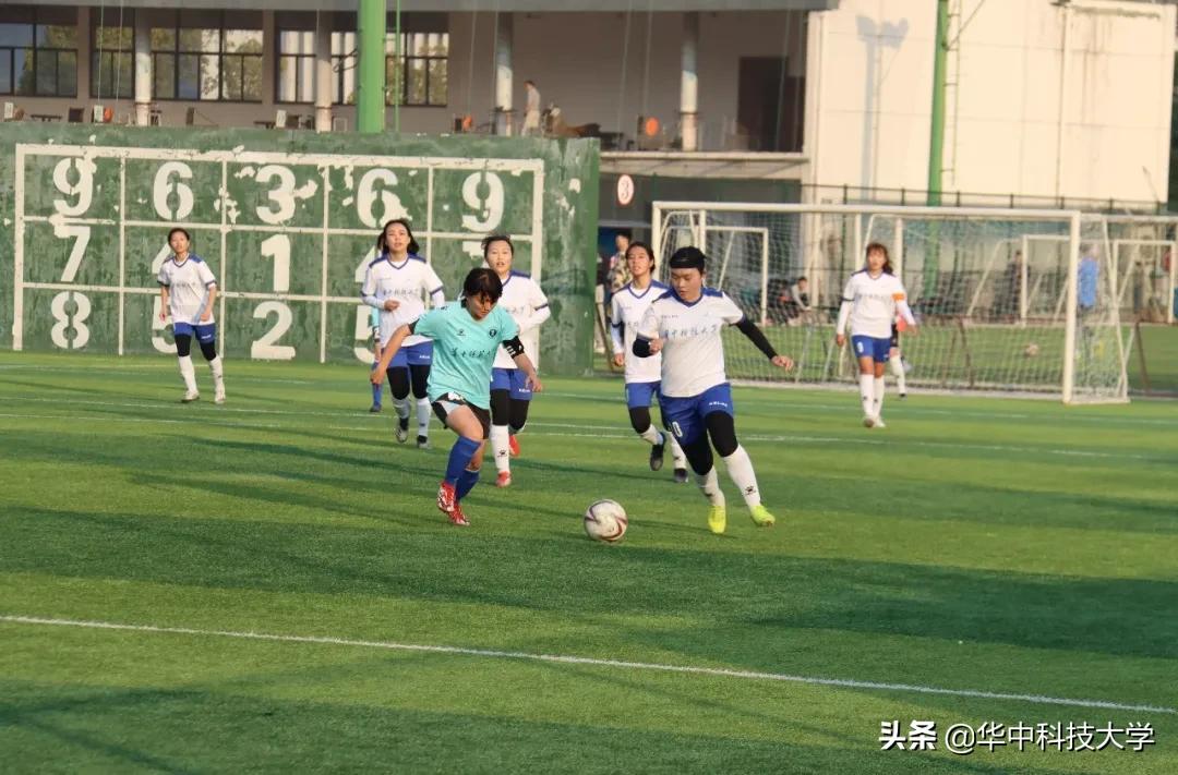 三连冠最新视频,三连冠创王朝