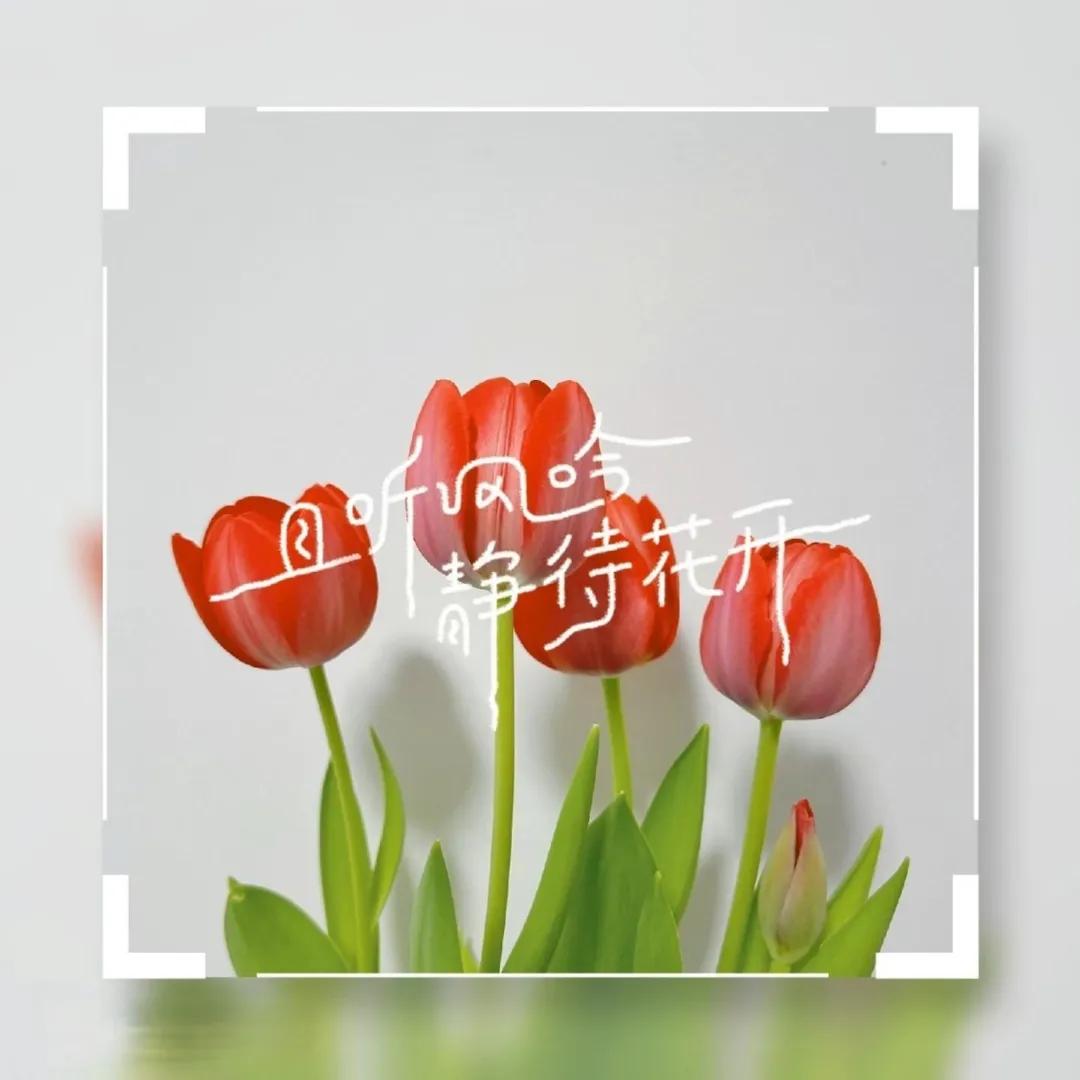 这两年大学生就业难怎么生存下去,即将毕业的大学生面临的就业问题