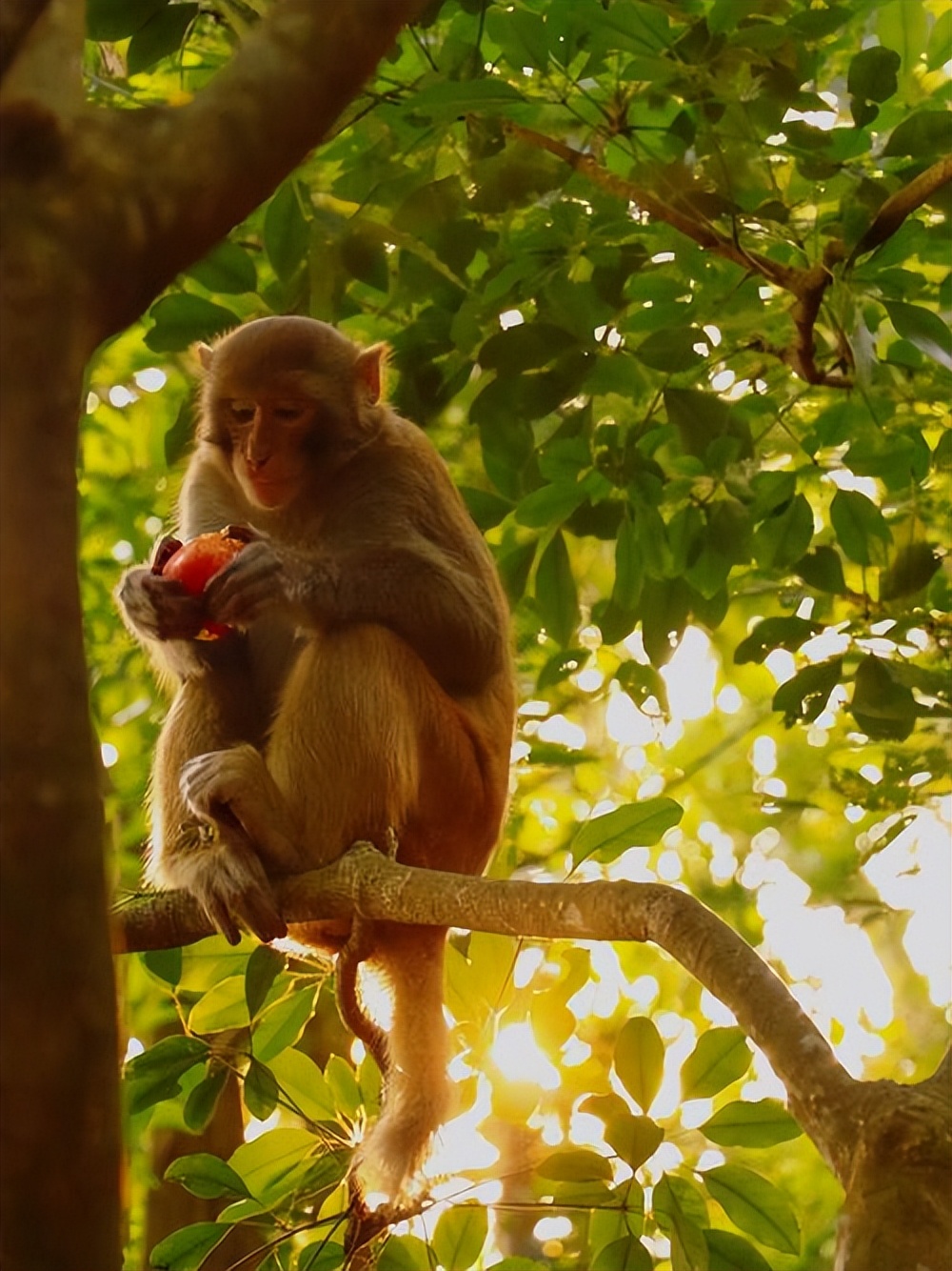 科学家奇葩研究都有啥,科学家有意思的实验