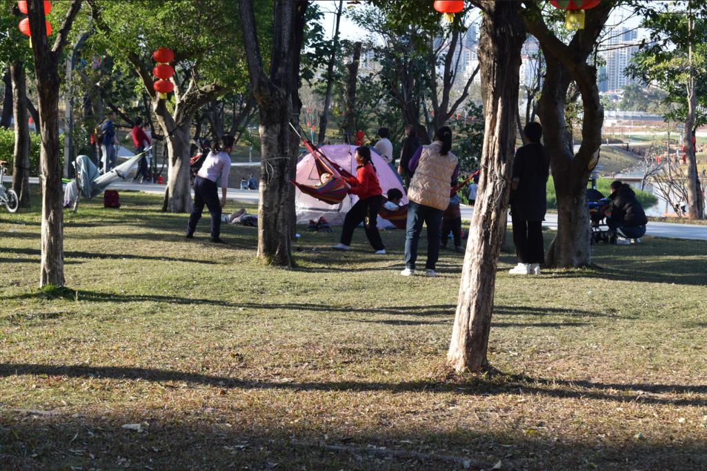 与春天撞个满怀的意思是什么,在棠梨湖公园邂逅春天