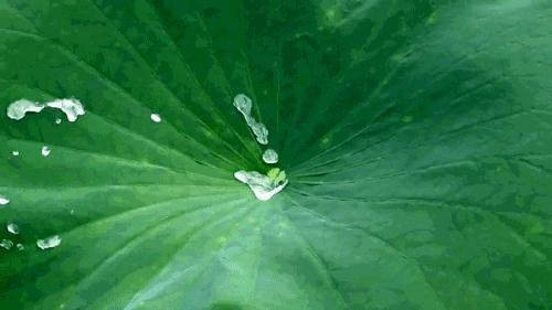 行车必备值得加装的东西有哪些,老车加装实用的功能