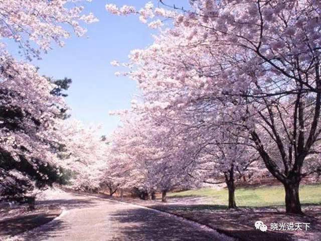 中日文化交流史导论,中日文化交流史视频