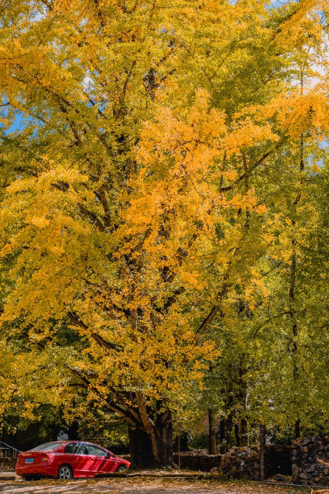 腾冲出游,腾冲诗和远方