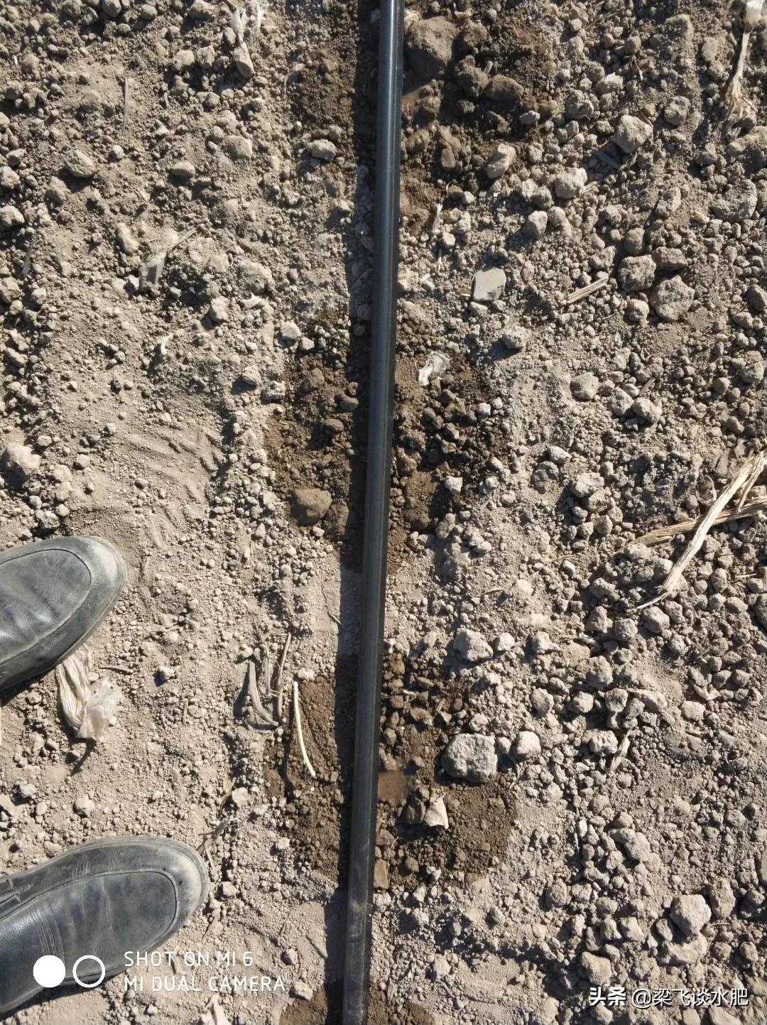 黏质土沙质土和壤土的区别与联系,比较干土和沙土土壤温度的差异