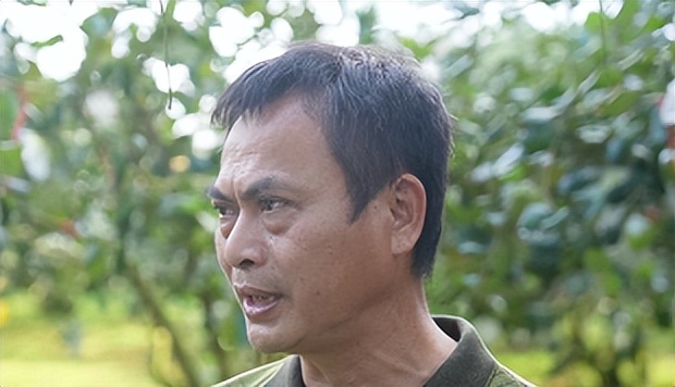 当日摘,明日达,海南蜜枣坐上社区电商“快车”!