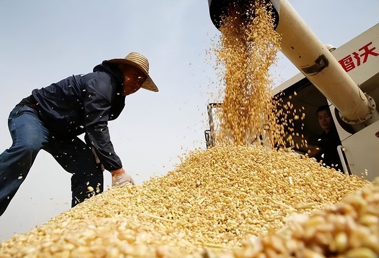 新一轮通货膨胀即将来袭如何应对,应对通胀最好的方法