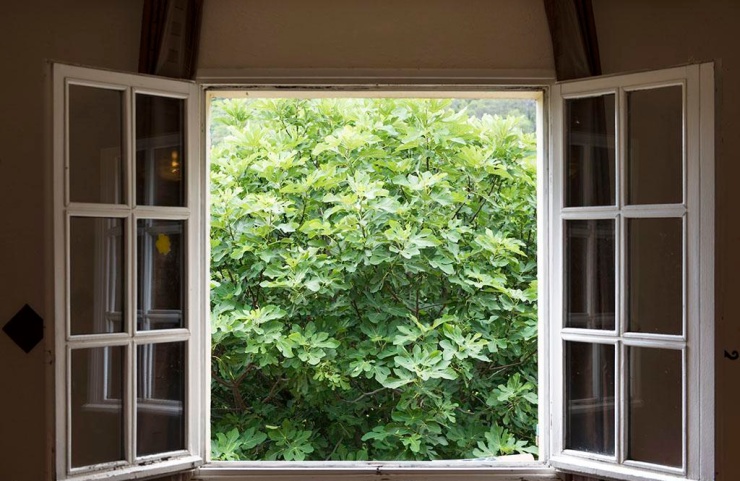 乐净石和活性炭哪个除醛效果更好,纳净石除甲醛靠谱吗