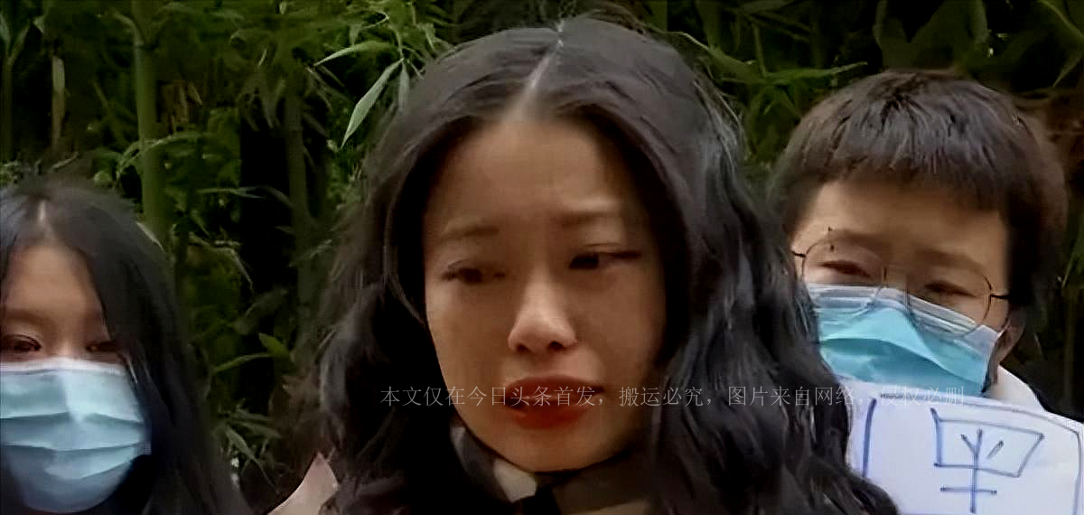 央视一哥朱军的歌曲,央视一哥白岩松近况