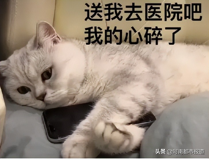 治疗只需要一束光！重新为女孩编织舞蹈梦