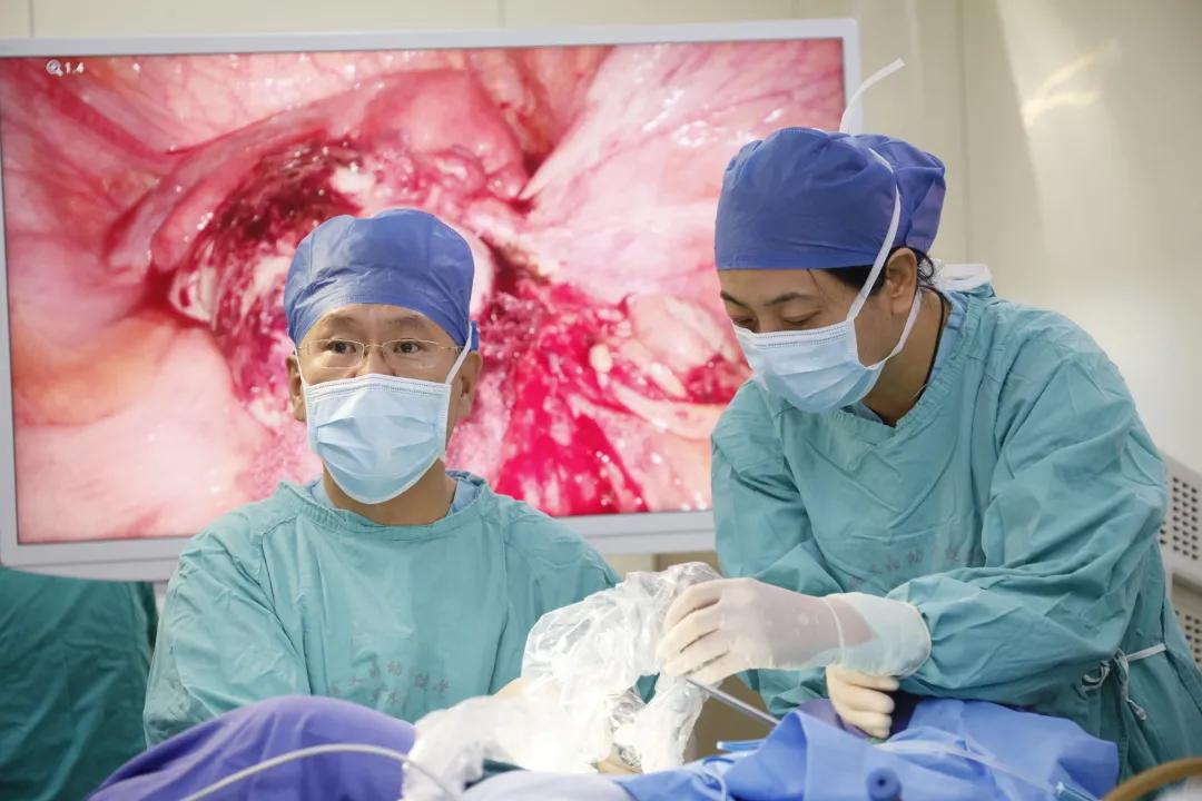 上腹至盆腔处巨大包块,盆腔巨大包块并伴有腹水