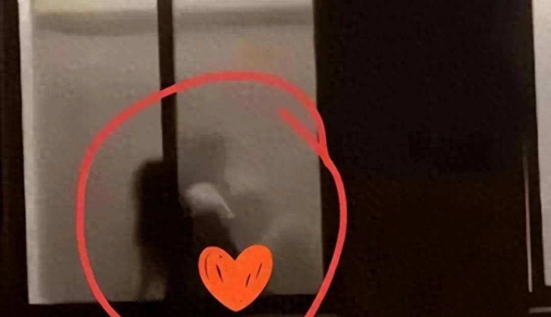 辽宁理工事件后续,辽宁理工学院事件