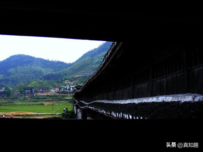 谈“松”时说练的对，但谈到“紧”有些人觉得是练错了，其实？