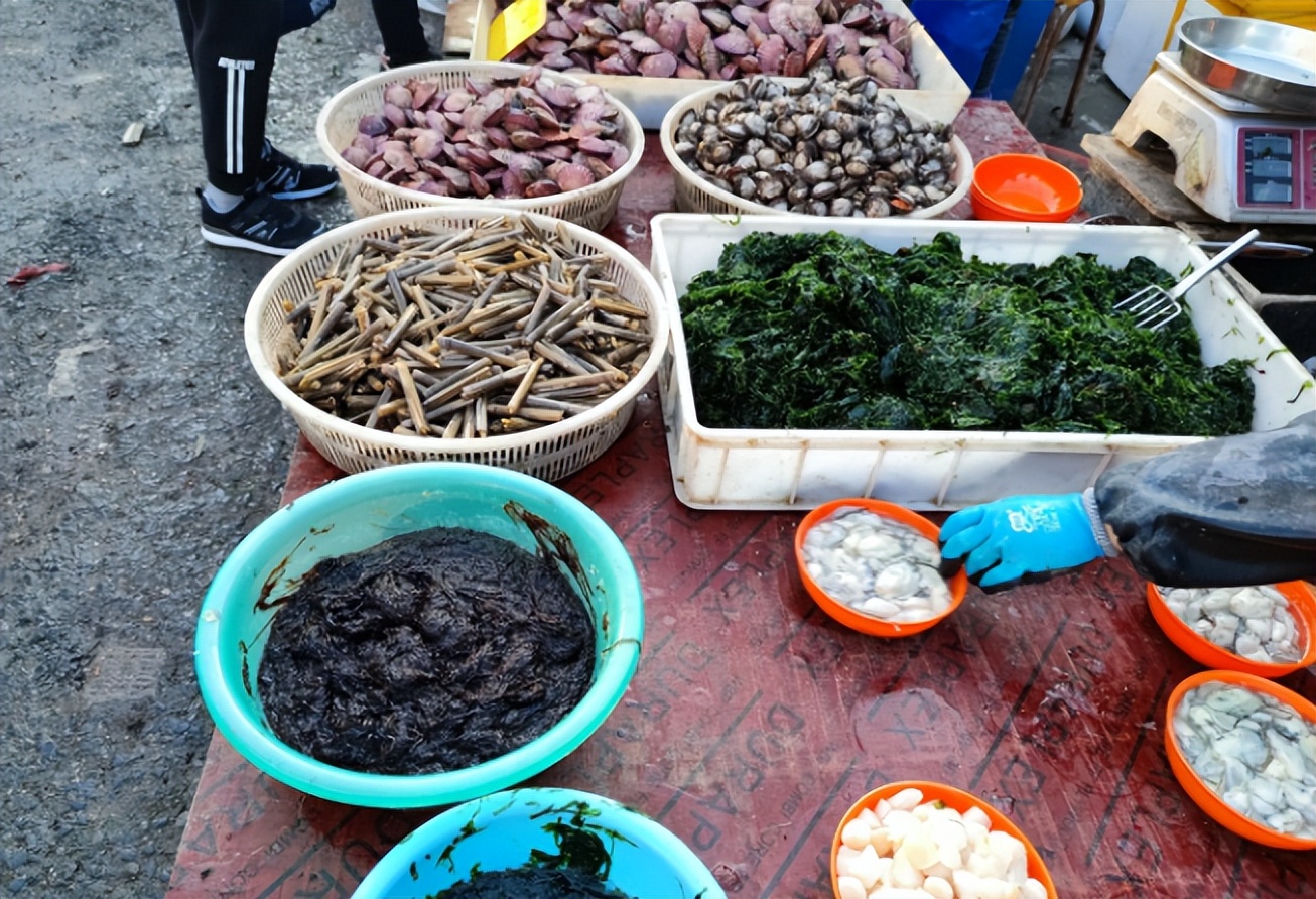 五月海鲜上市时间表,5月份什么海鲜比较多