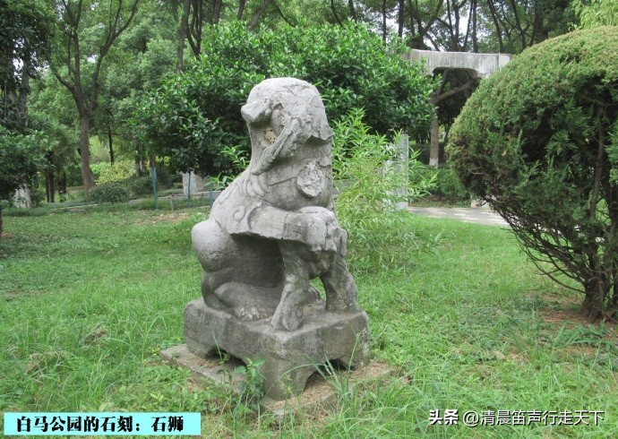 白马公园白马石刻朝代,公园石刻精品欣赏