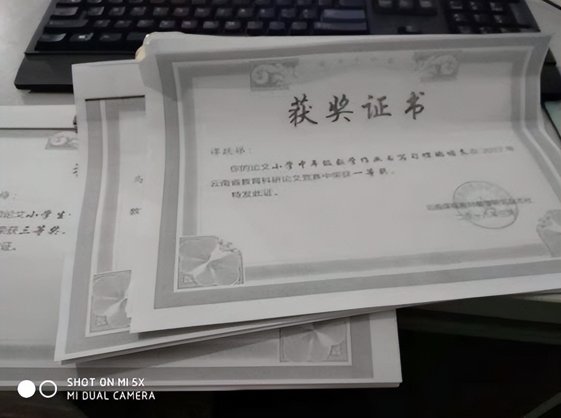 农村小学生行为习惯培养分析,小学低年级行为习惯养成教育策略