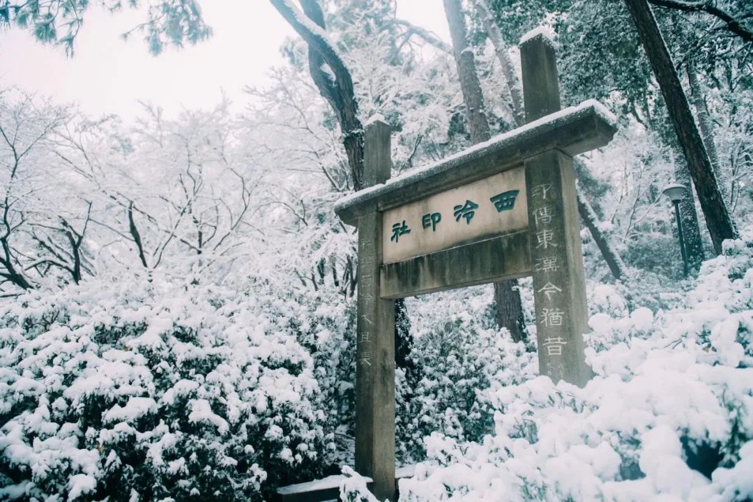 冬日诗词里雪的十种美,36首冬雪诗词带你感受冬日的雪