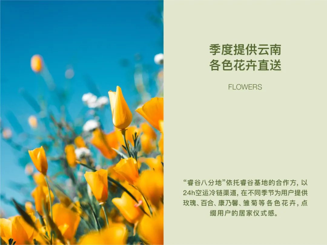 大道恒美×睿谷生态：大品牌战略，赋新生活方式营销