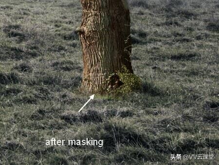 在Photoshop中创建带有月亮的树的超现实图稿，VV云课堂教程