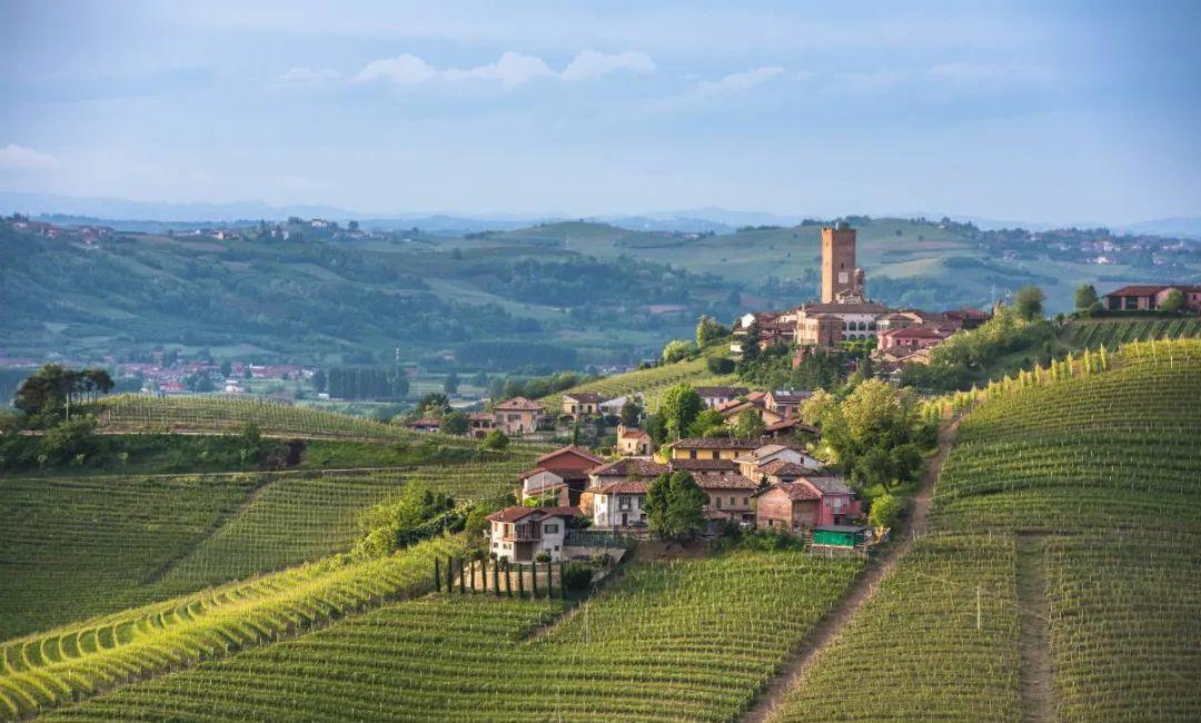 想知道最详细的意大利葡萄酒知识,你要知道的意大利葡萄酒基础知识