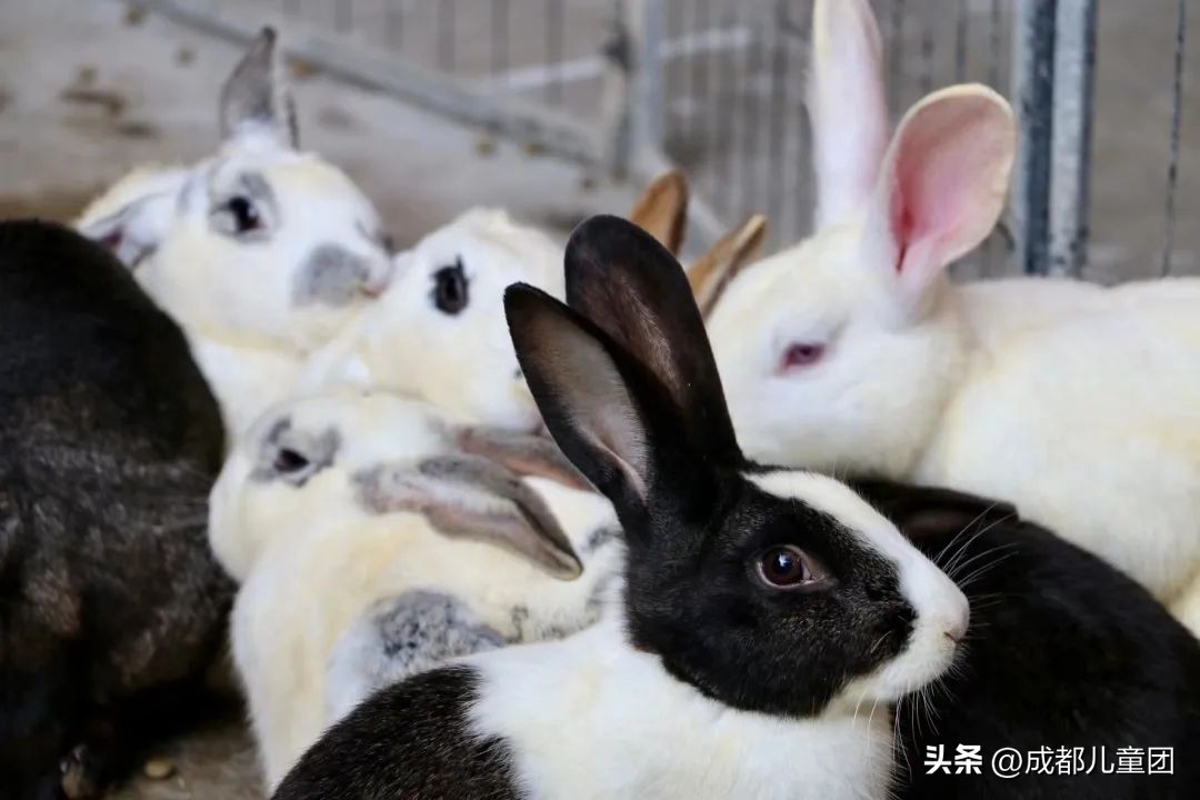 地铁3号线能到的美景地方,一号线地铁直达的风景