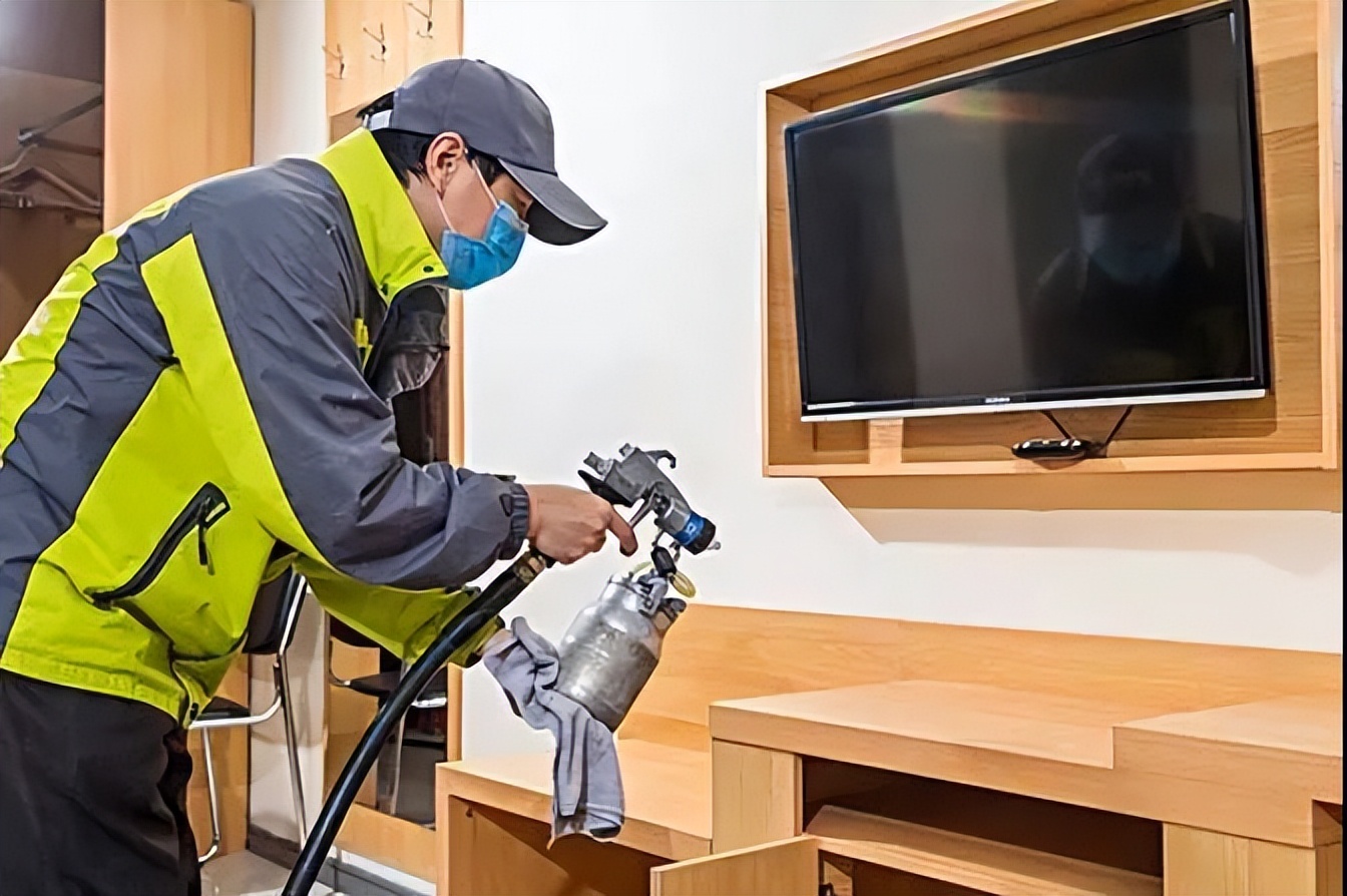 买绿植和活性炭除甲醛有用吗,去甲醛活性炭和绿植哪个更好