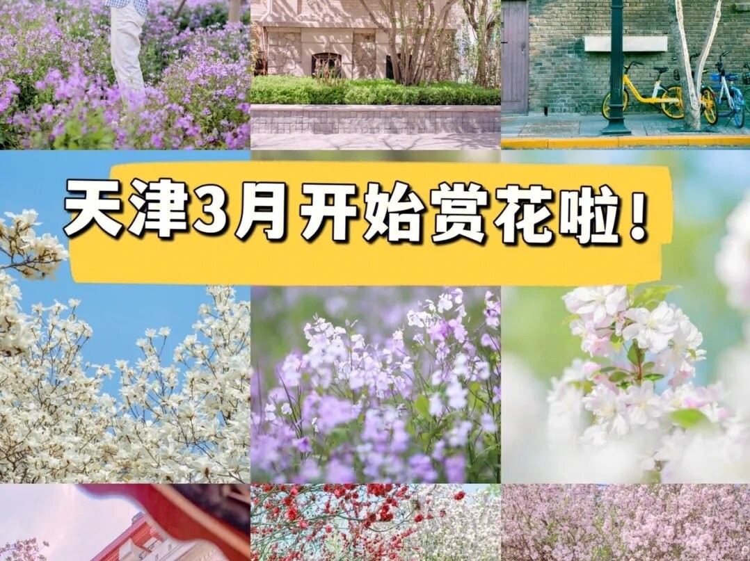 天津赏花地点推荐最近,天津赏花全攻略