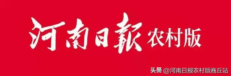 我们正青春:“网红阿伟”返乡创业做乡村守望者