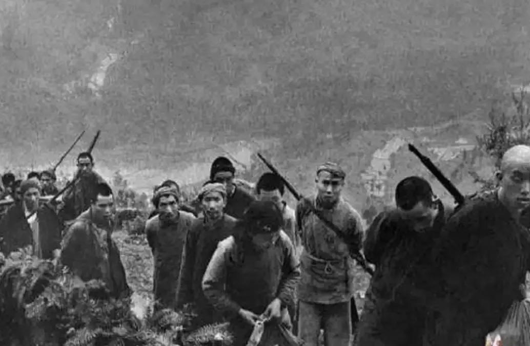 抗联英雄谢文东的故事,谢文东土匪有多少人