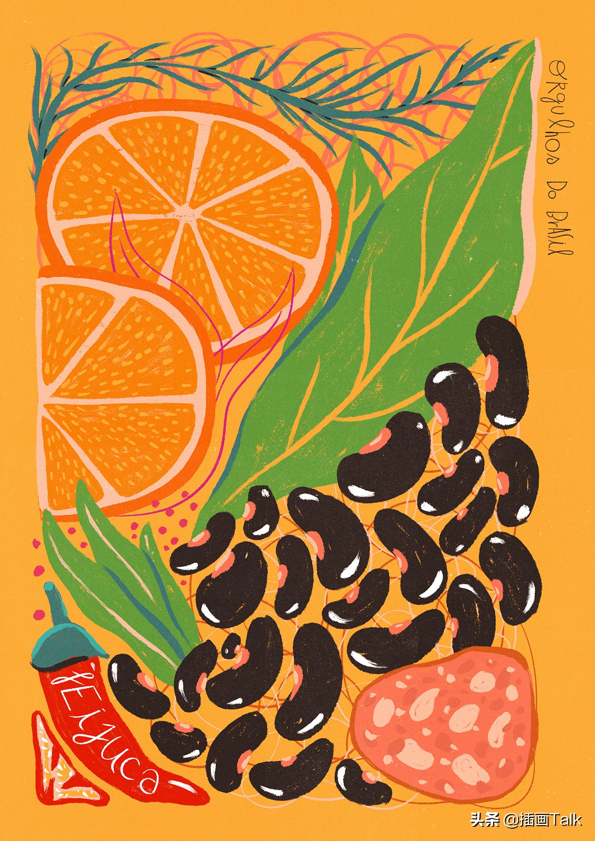 巴西插画师泰拳,巴西插画师jaza动物插画系列