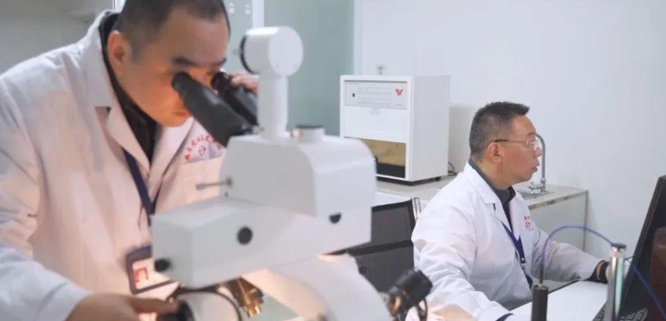 司法鉴定基本案情内容,司法鉴定全套视频