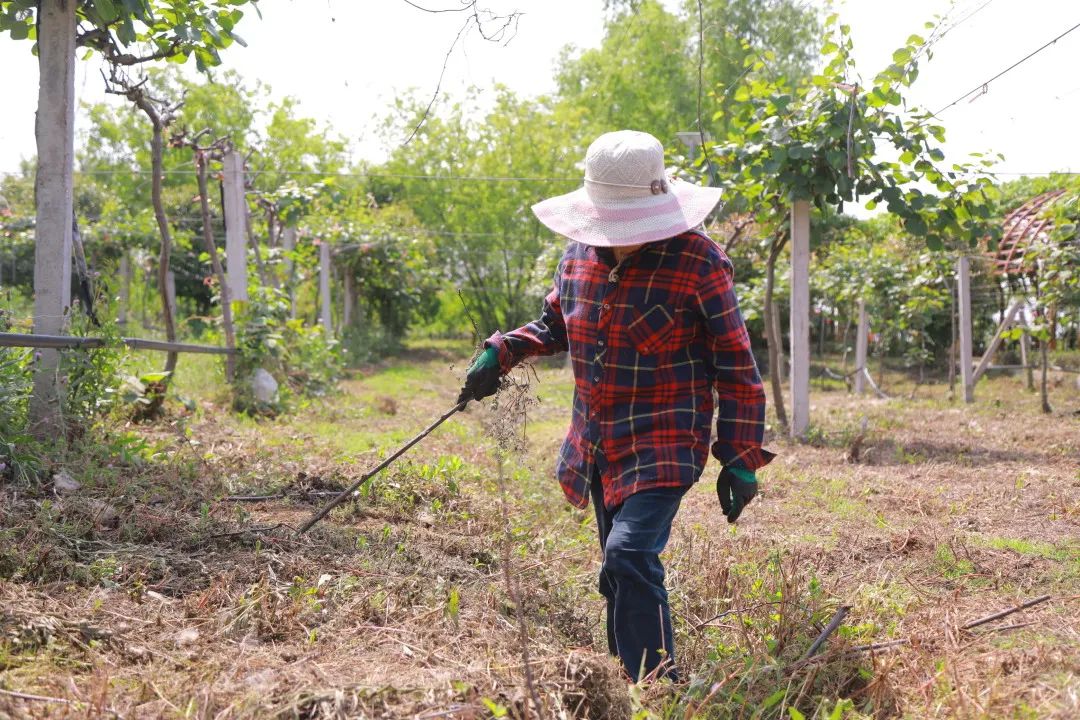 美丽邹庄“乐”翻了!