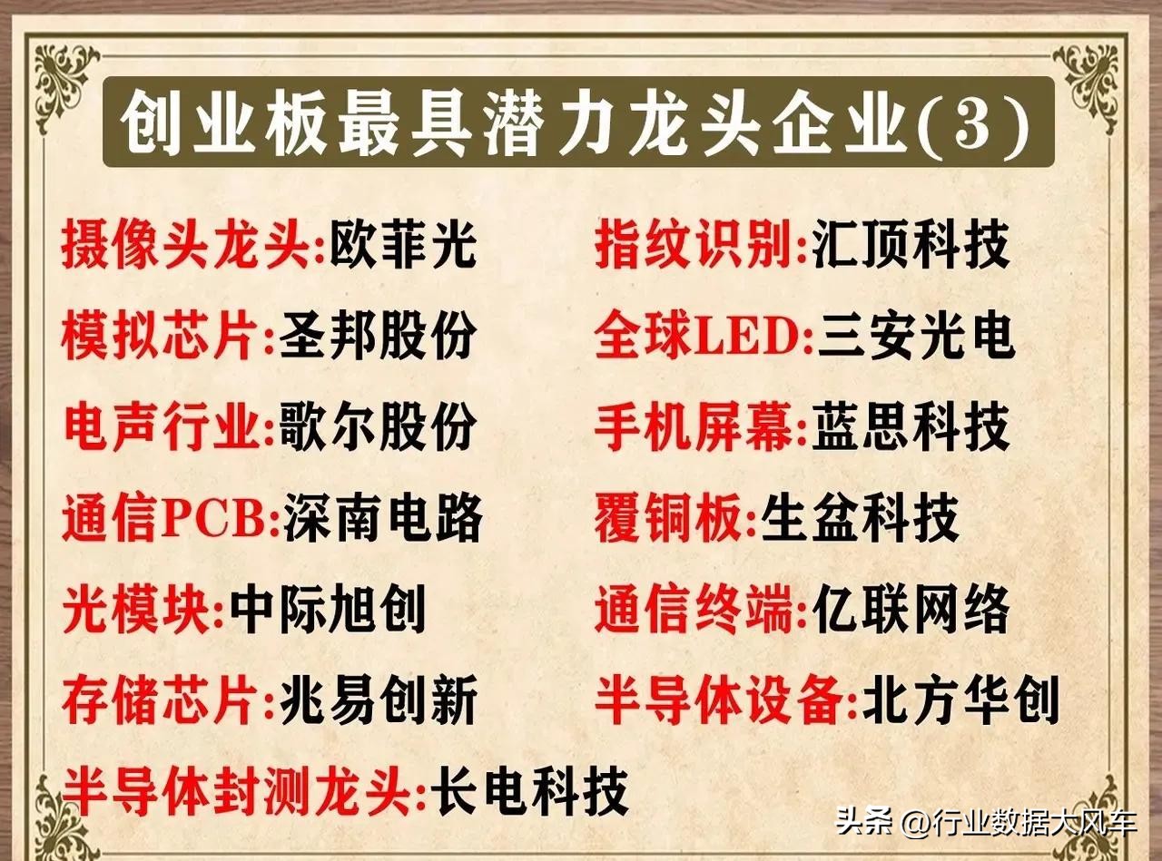 创业板龙头股票有哪些,今天创业板的十大龙头股