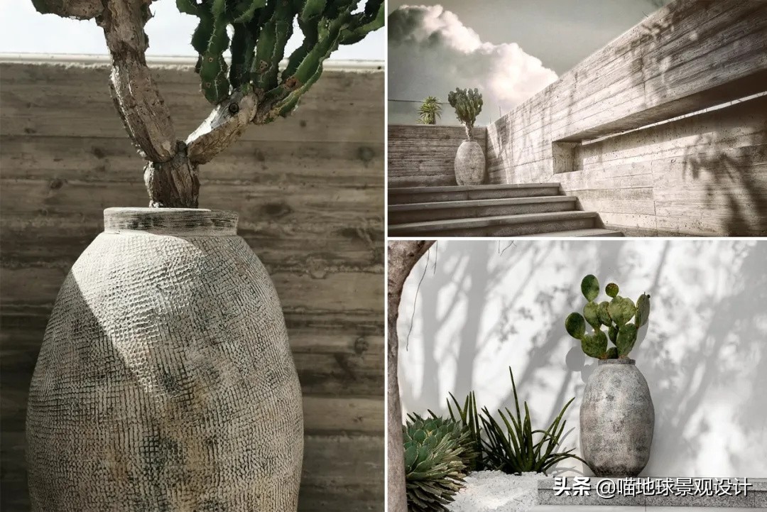 热带风情的庭院别墅,庭院大型热带风情绿植