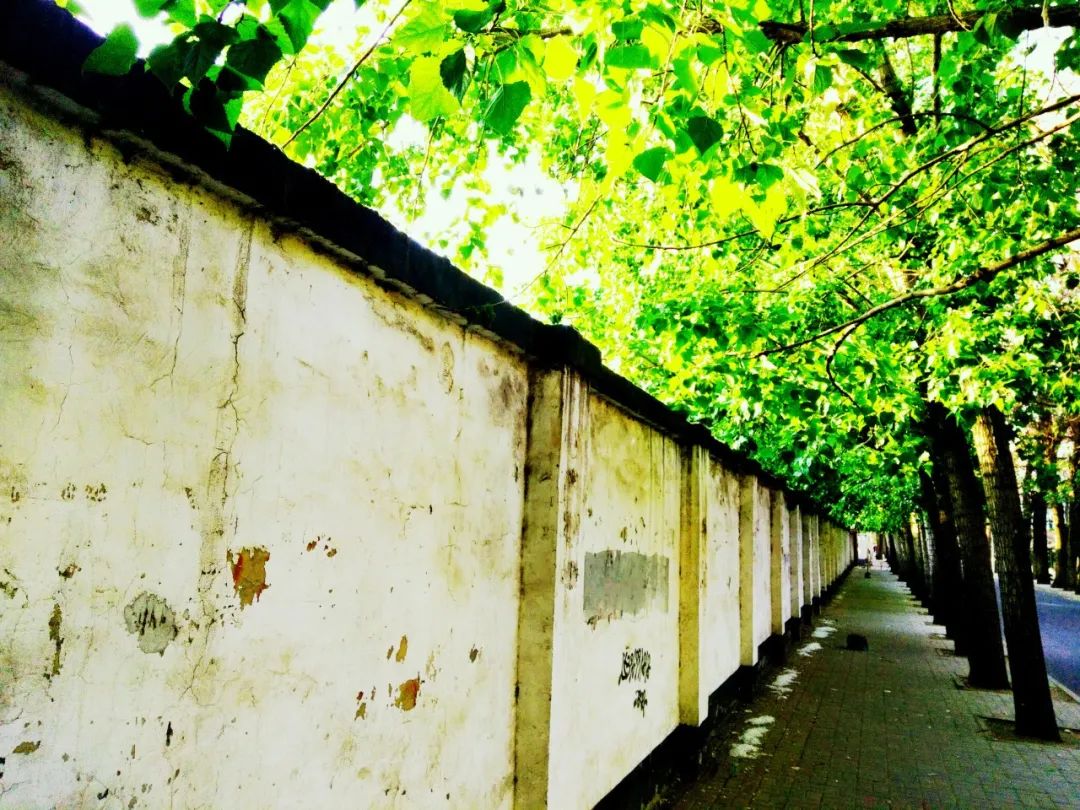 24个夏天的成语，原来都出自古诗文