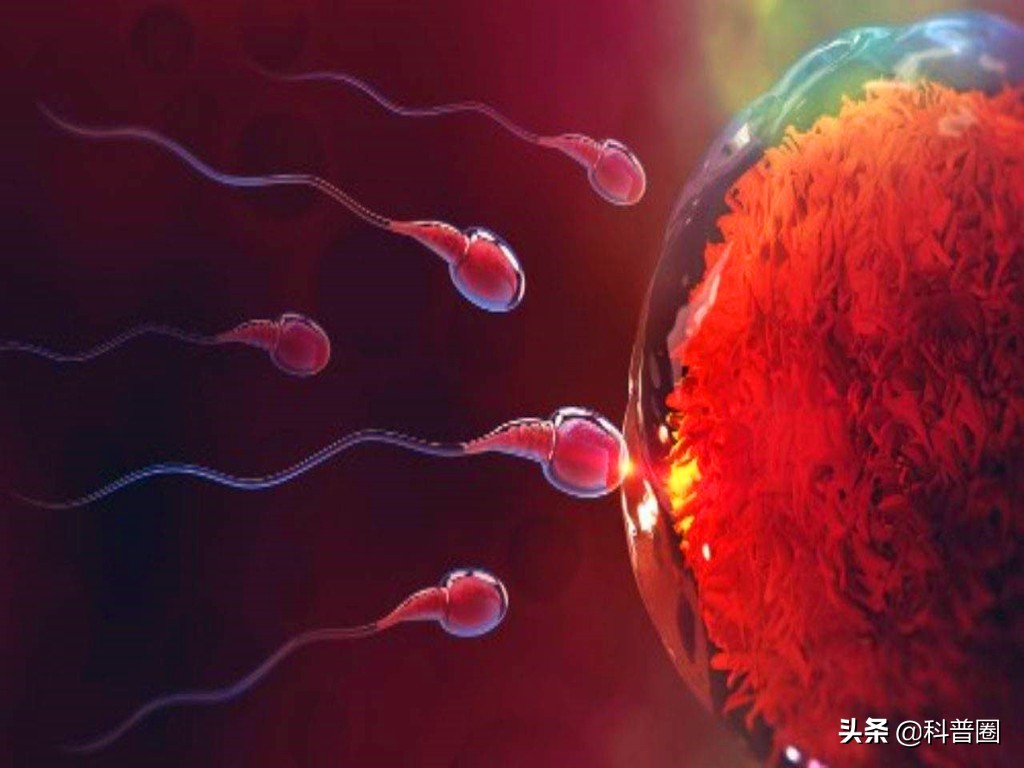 科学家精子运动违背牛顿第三定律,科学家发现精子的作用