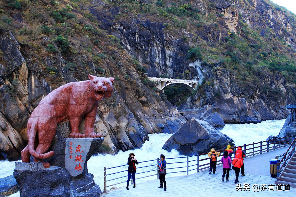 到香格里拉一定要去看梅里雪山,到香格里拉玩什么