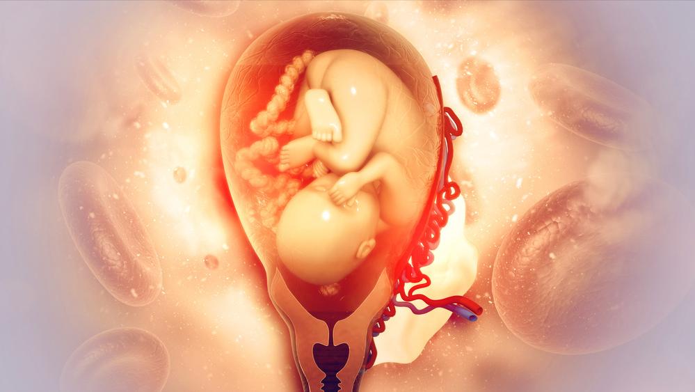 孕后期外阴肥大,孕后期外阴肥大怎么回事