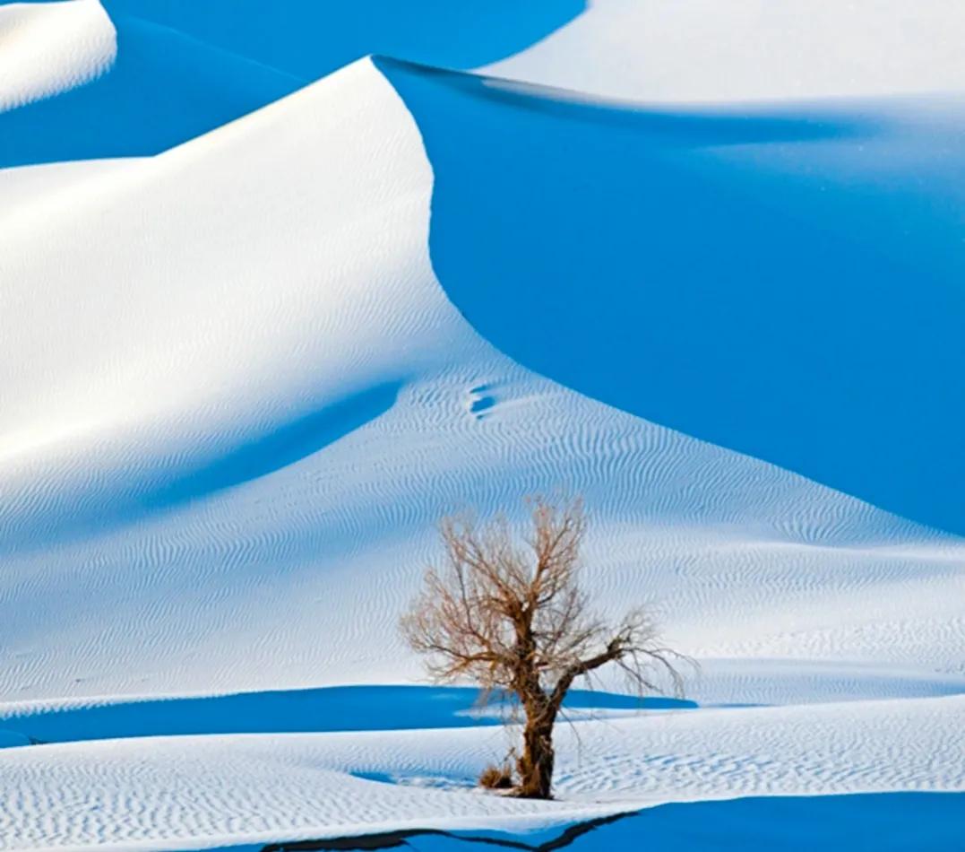 沙漠的绝景,沙漠壮丽的景色